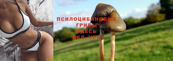 амф Белокуриха