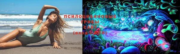 apvp Беломорск