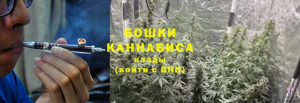 амф Белокуриха