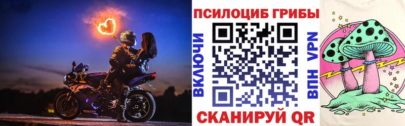 Галлюциногенные грибы Psilocybe  наркошоп  Удачный 